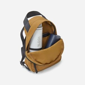 Everlane mini backpack Breen